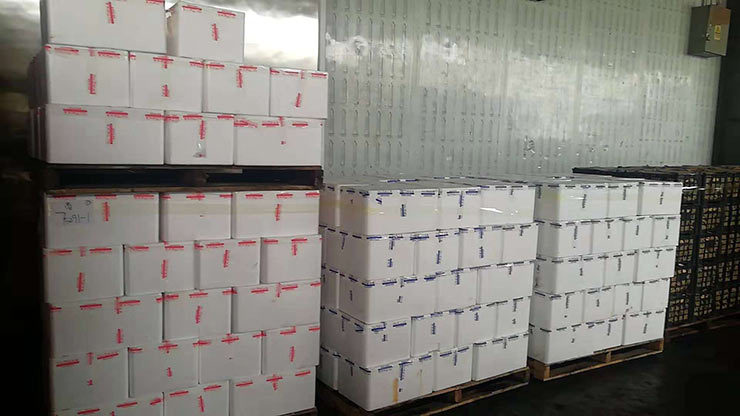 Z6·人生就是博(中国区)官方网站