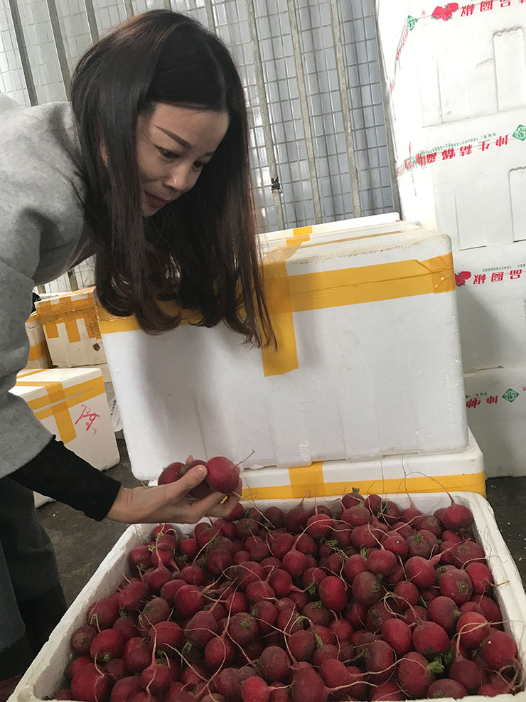 Z6·人生就是博(中国区)官方网站