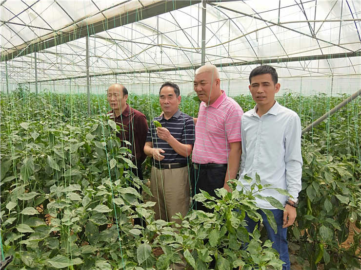 Z6·人生就是博(中国区)官方网站