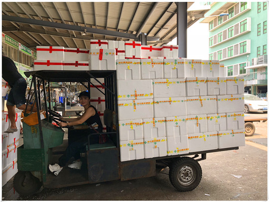 Z6·人生就是博(中国区)官方网站