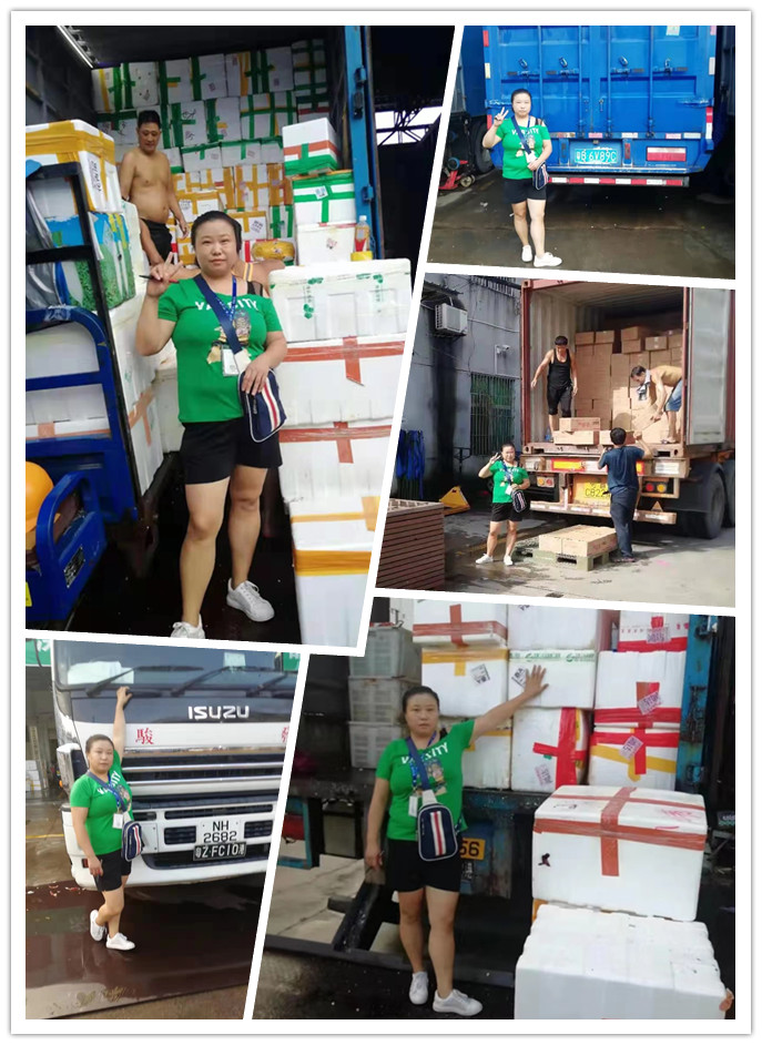 Z6·人生就是博(中国区)官方网站