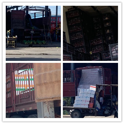 Z6·人生就是博(中国区)官方网站