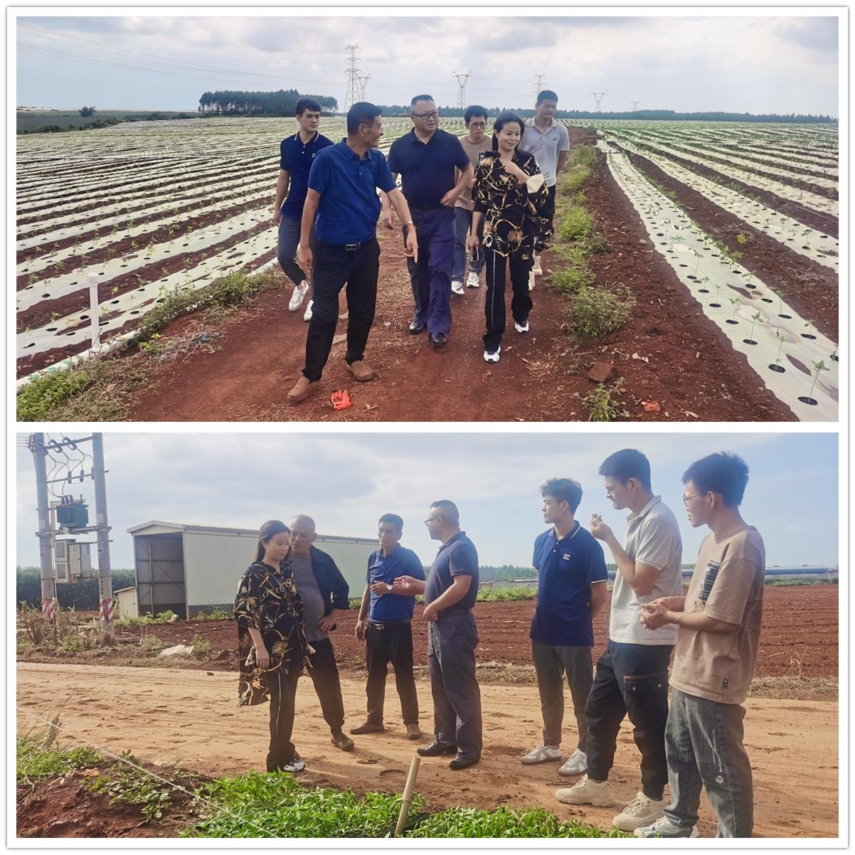 Z6·人生就是博(中国区)官方网站